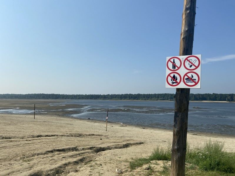 elovka ago