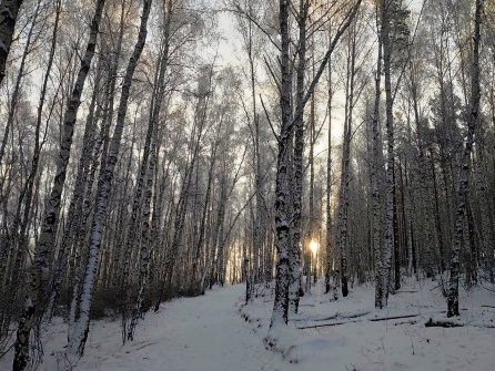 Ночью в Иркутске ожидается -28°, завтра днем – около -19°