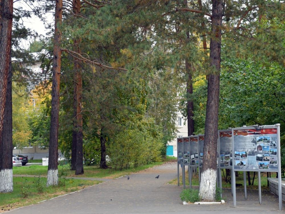 В Иркутской области в голосовании за объекты благоустройства лидирует Саянск