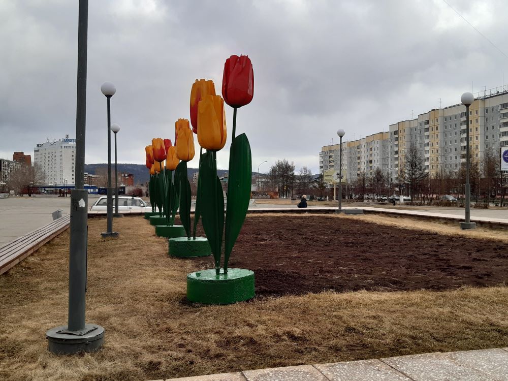 На главной площади Братска установили «тюльпаны»