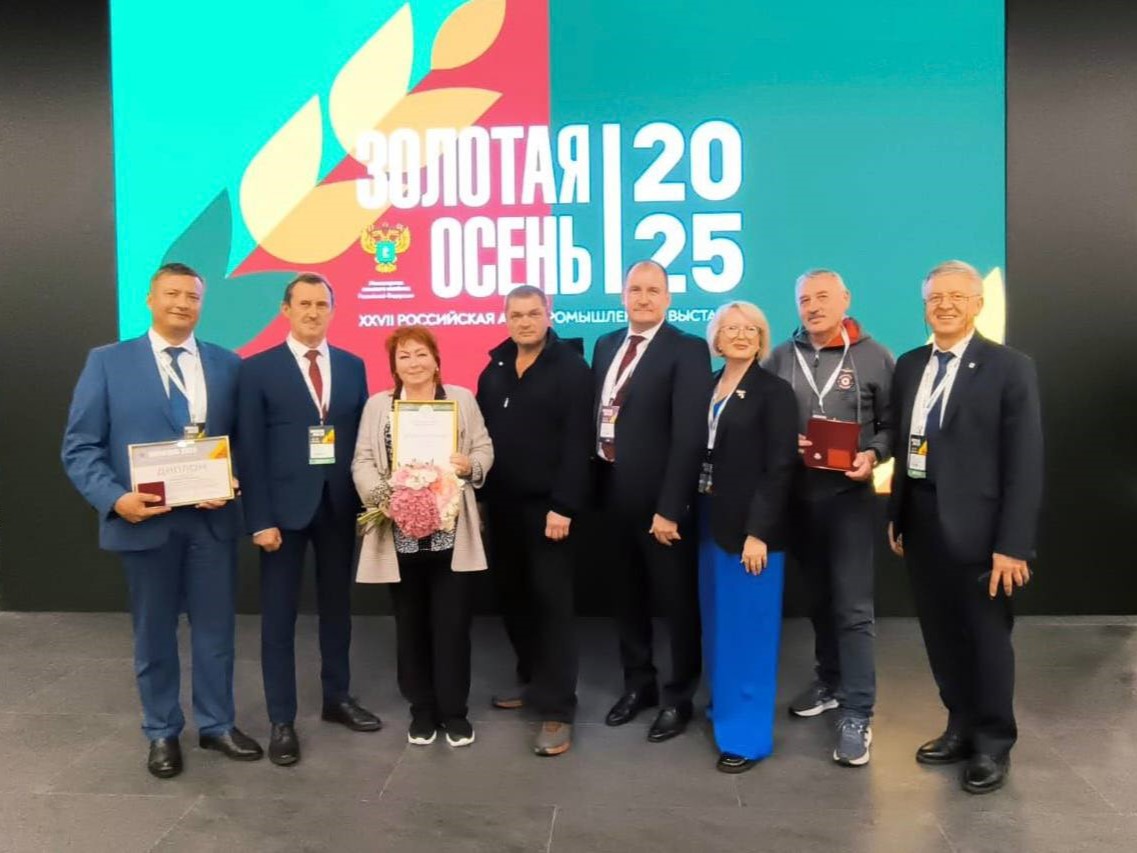 zolotaya osen io