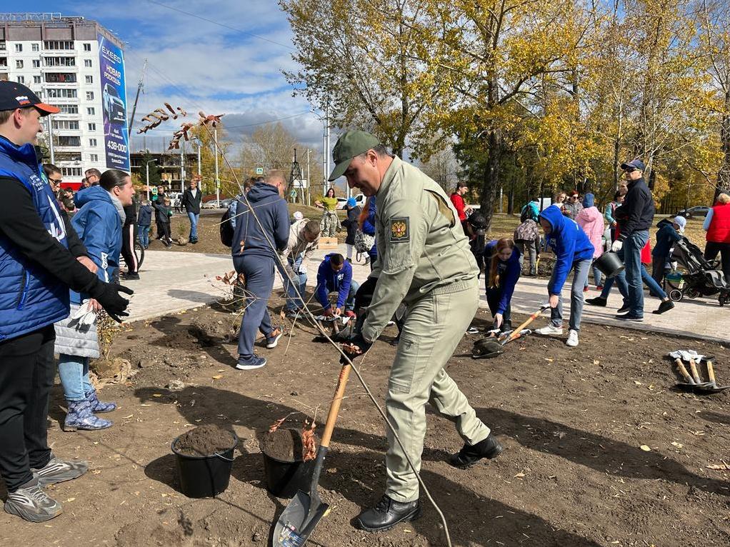 bolotov posadki stela ai