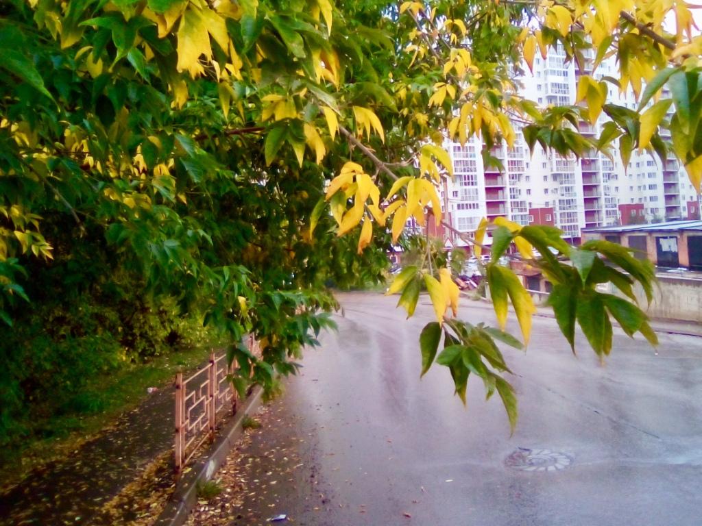 osen dozhdik nia baikal
