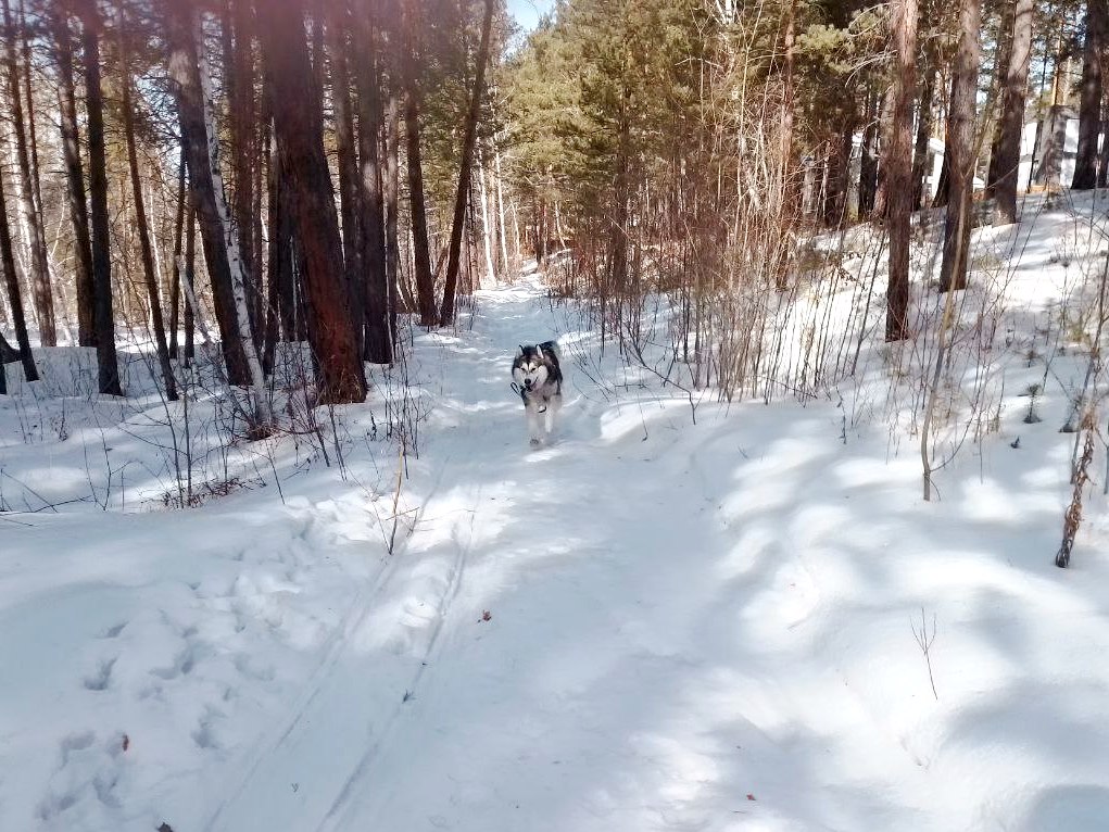 Слабый снег и -4° ожидается в Иркутске в субботу