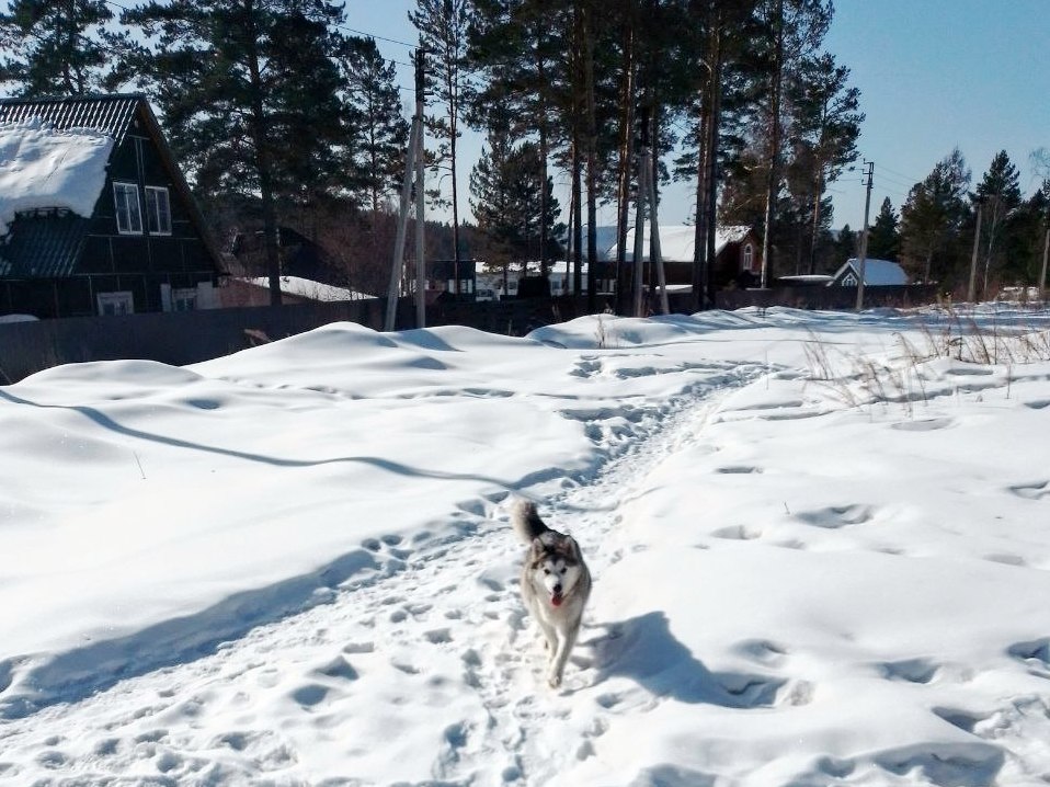 До +2° потеплеет в Иркутске в пятницу