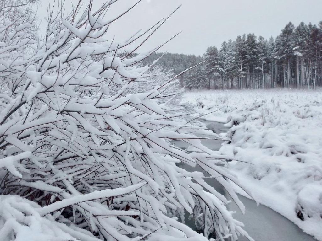 Около -15° ожидается в Иркутске в четверг, возможен небольшой снег