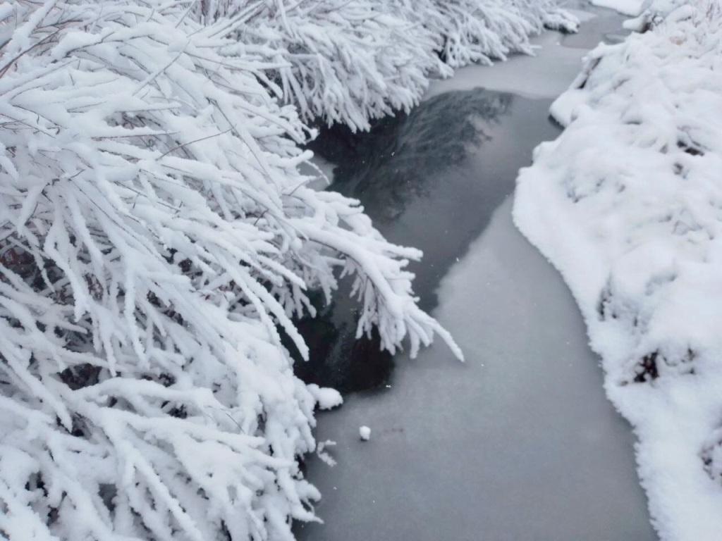 Около -7° ожидается в Иркутске 22 декабря