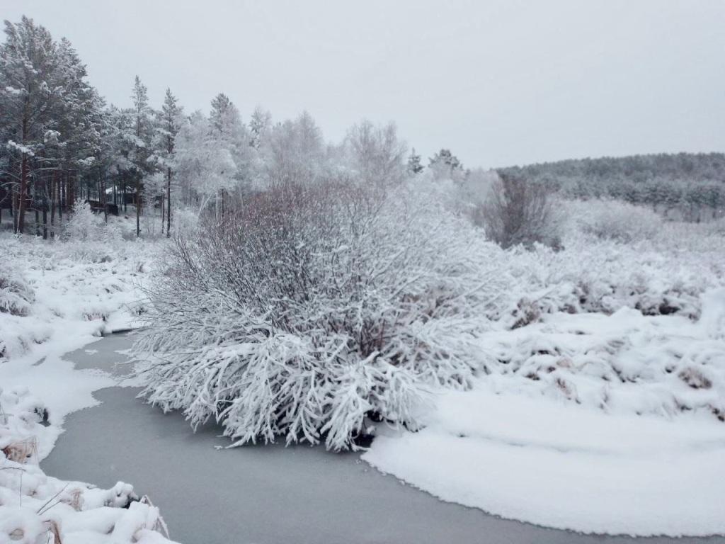Слабый мокрый снег прогнозируют в Иркутске в среду
