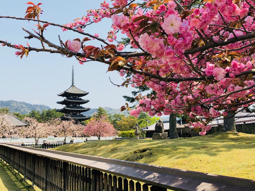 japan